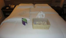 开夜床,温馨开夜床，打造舒适睡眠时光